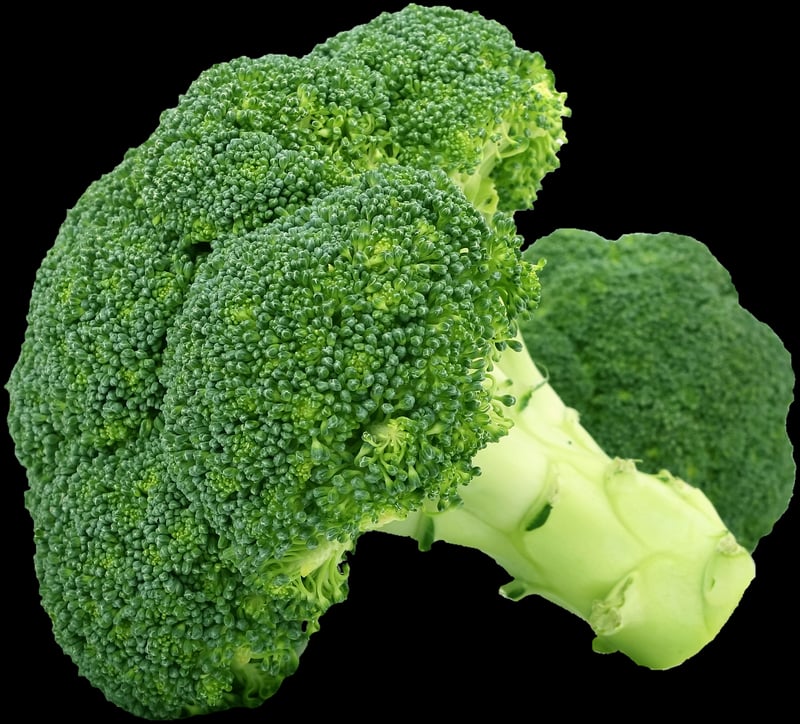 Vegetable Patches